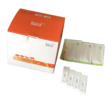 牛、羊衣原體抗體膠體金快速檢測卡