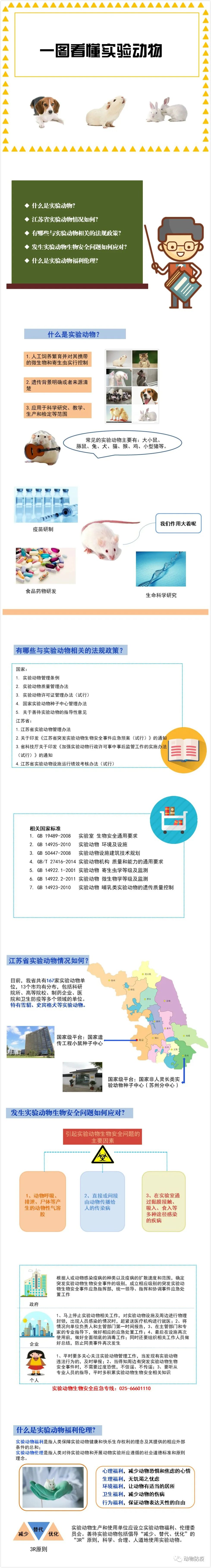 真瑞科普 | 一圖看懂實驗動物